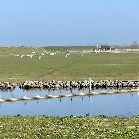 Nagelneues-beachhouse-mit-seeblick-und-40-m-entfernung-zum-ijsselmeer