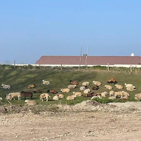Holiday home Nagelneues-beachhouse-mit-seeblick-und-40-m-entfernung-zum-ijsselmeer *